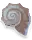 Faded Seashell